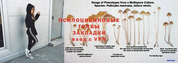 spice Алзамай
