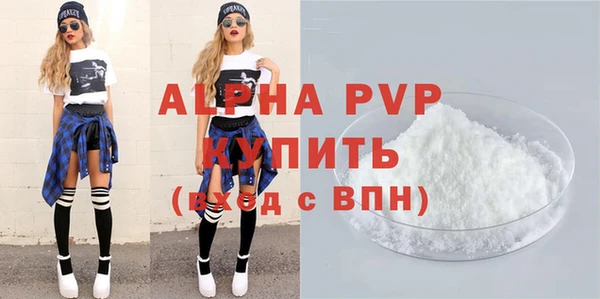 индика Алексин