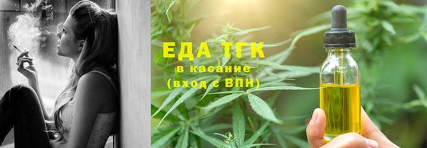 индика Алексин