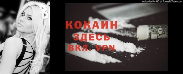 индика Алексин