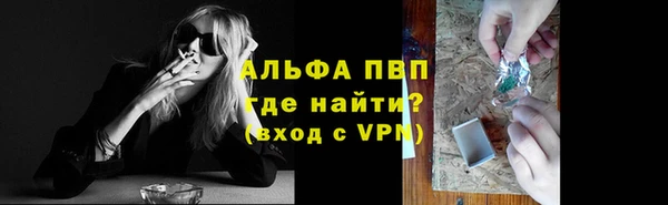 индика Алексин