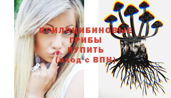 индика Алексин