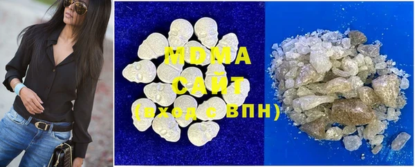 индика Алексин