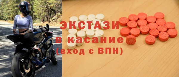 индика Алексин