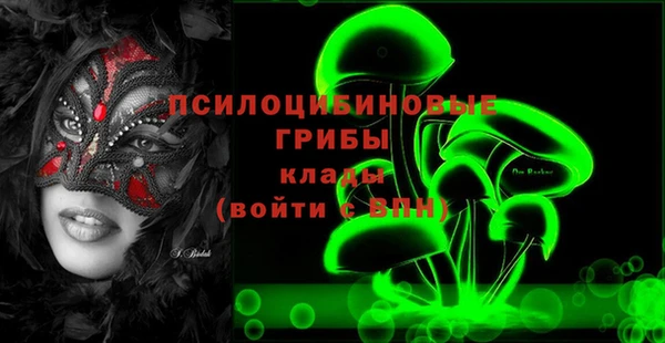 индика Алексин