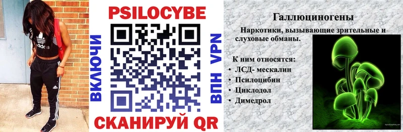 Купить закладки  Улан-Удэ  Псилоцибиновые грибы прущие грибы 